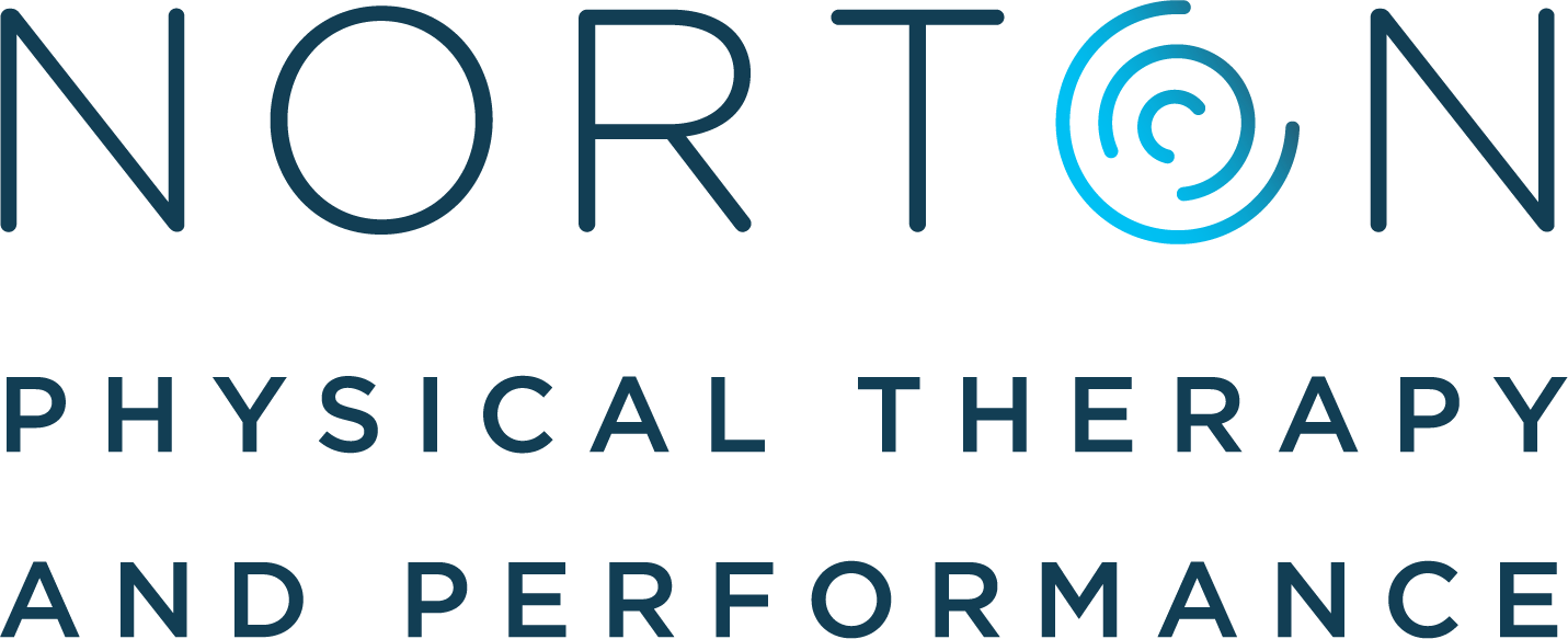 NORTON-PRIMARY-LOGO-RGB