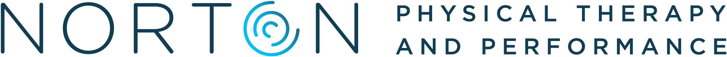 NORTON-HORIZ-LOGO-RGB